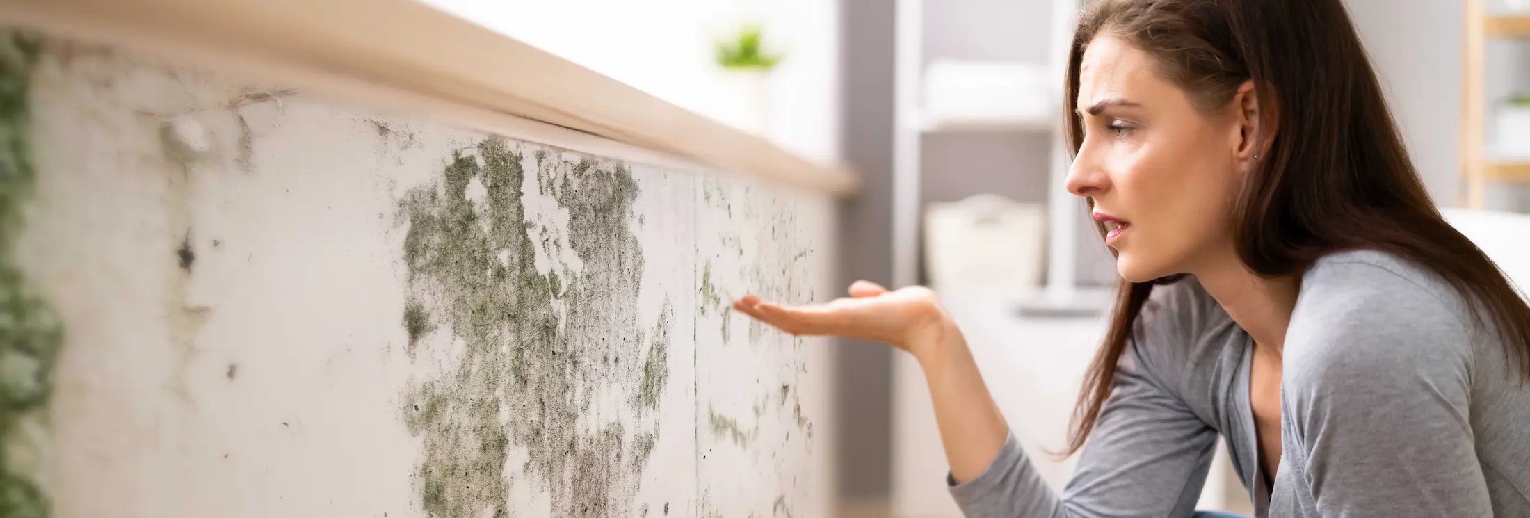 Fallrohrsanierung Passau Fallrohrsanierung Passau